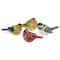 5" Realistic Painted Tabletop Bird Figurines Set
